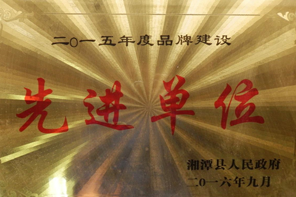 2015品牌建設(shè)先進單位.jpg