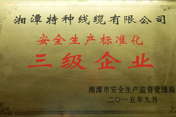 201509安全生產(chǎn)標準化三級企業(yè).jpg